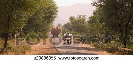 Stock Photography - "Rajasthan, India - rural road". Fotosearch