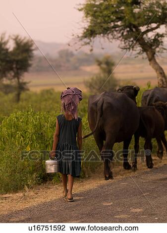 Stock Image - "Rajasthan, India - Woman walking with livestock". Fotosearch