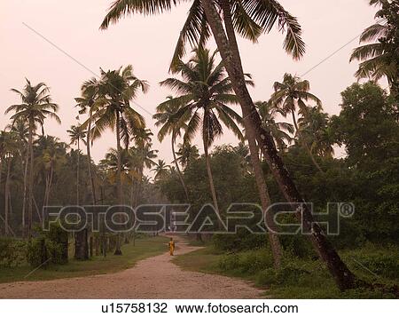 Roodway in Kerala India View Large Photo Image Stock Image - Roodway in Kerala India. Fotosearch