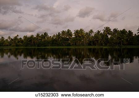 "Shoreline on lake, Backwater, Kerala, South India" View Large Photo Image Stock Image - "Shoreline on lake, Backwater, Kerala, South India". Fotosearch