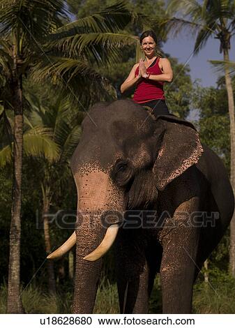 Stock Image - Woman in yoga pose on an elephant in India. Fotosearch