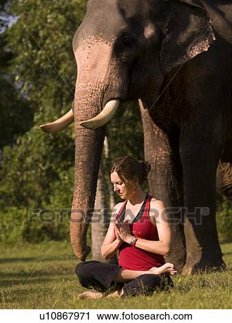 Stock Image - Woman in yoga pose with an elephant in India. Fotosearch