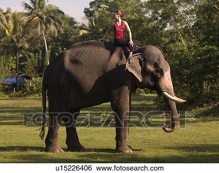 Stock Photograph - Woman on an elephant in India. Fotosearch