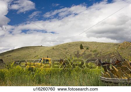 Stock Image - Abandoned yellow truck in hills with yellow flowers, Montana, USA. Fotosearch