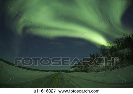Stock Photo - An explosion of Aurora Borealis converts the Ingraham Trail outside of Yellowknife, Northwest Territories into a dramatic lightshow.. Fotosearch