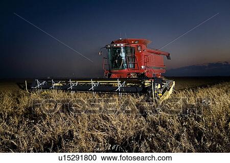 Stock Image - Combining lentils at night, Saskatchewan. Fotosearch
