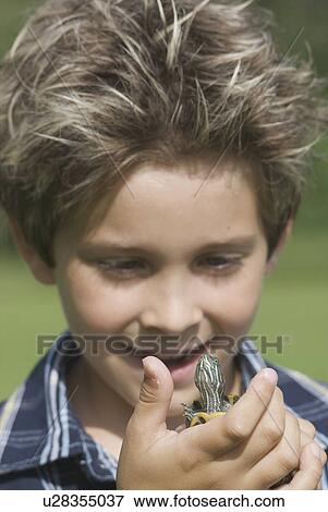 Eight year old boy holding turtle, Winnipeg, Canada View Large Photo Image Stock Photo - Eight year old boy holding turtle, Winnipeg, Canada. Fotosearch