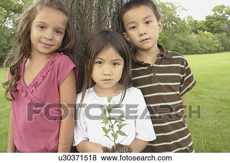 Five year old girl holds small tree, beside seven year old boy and girl, Winnipeg, Canada View Large Photo Image Stock Photo - Five year old girl holds small tree, beside seven year old boy and girl, Winnipeg, Canada. Fotosearch