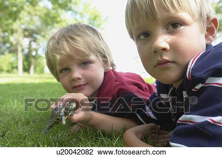Stock Image - Four and six year old brothers holding turtle, Winnipeg, Canada. Fotosearch