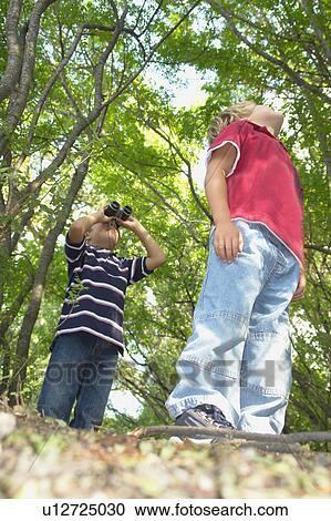 Stock Image - Four and six year old brothers look upward, on walking trail in forest, Winnipeg, Canada. Fotosearch