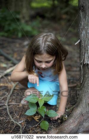 Stock Image - Girl pointing at plant in rainforest, CamagÃƒÂ¼ey, Cuba. Fotosearch