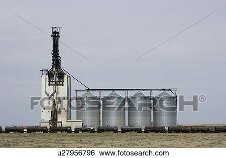 Stock Photograph - Grain elevators and train cars on the Canadian prairies near Medicine Hat, Alberta. Fotosearch