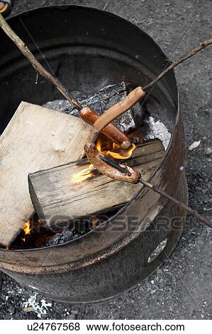 Hot dogs on sticks cooking over a fire View Large Photo Image Stock Photo - Hot dogs on sticks cooking over a fire. Fotosearch