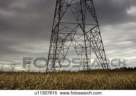 Hydro towers in corn fields with wind turbines, Gaspesie, Quebec View Large Photo Image Stock Photography - Hydro towers in corn fields with wind turbines, Gaspesie, Quebec. Fotosearch