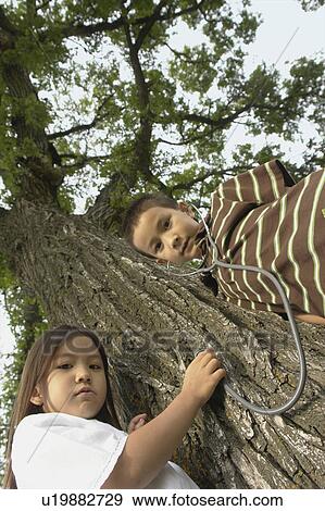 Stock Photo - Low angel, five and seven year old sister and brother with stethescope on tree, Winnipeg, Canada. Fotosearch