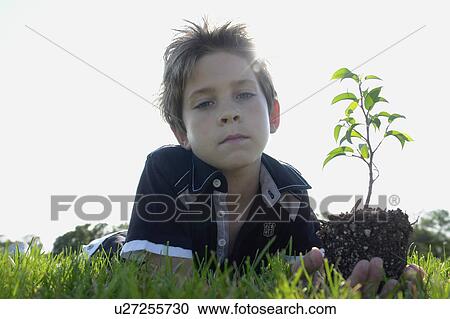 Stock Image - Low angle 8 year old boy lying on grass holding small tree, Winnipeg, Canada. Fotosearch