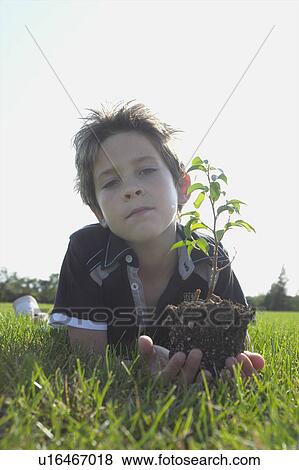 Stock Photo - Low angle 8 year old boy lying on grass holding small tree, Winnipeg, Canada. Fotosearch