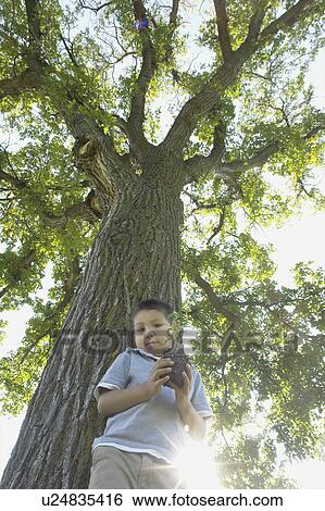 Stock Photograph - Low angle view, six year old boy holding small tree beside large tree, Winnipeg, Canada. Fotosearch