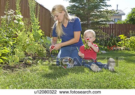Stock Image - Mother and two-year-old son with radishes from backyard garden, Winnipeg, Canada. Fotosearch