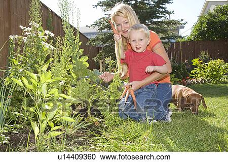 Mother with her two-year old son pull carrots from backyard garden, Winnipeg, Canada View Large Photo Image Stock Image - Mother with her two-year old son pull carrots from backyard garden, Winnipeg, Canada. Fotosearch