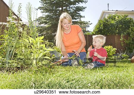 Stock Image - Mother with her two-year old son pull carrots from backyard garden, Winnipeg, Canada. Fotosearch