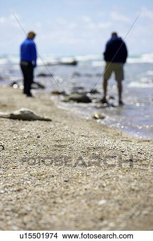 Out of focus couple on beach shoreline, Ontario View Large Photo Image Picture - Out of focus couple on beach shoreline, Ontario. Fotosearch