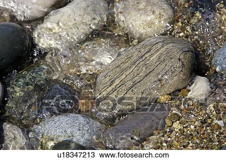 Rocks and pebbles in shallow water, Ontario View Large Photo Image Stock Image - Rocks and pebbles in shallow water, Ontario. Fotosearch