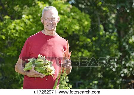 Stock Image - Senior man holding ears of corn and carrots, Winnipeg, Canada. Fotosearch