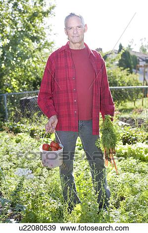 Stock Photo - Senior man in backyard garden with carrots and tomatoes, Winnipeg, Canada. Fotosearch