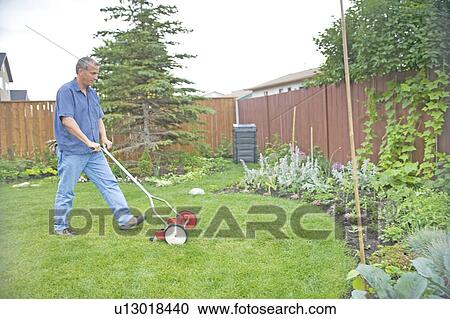 Senior man with reel mower in backyard, Winnipeg, Canada View Large Photo Image Stock Image - Senior man with reel mower in backyard, Winnipeg, Canada. Fotosearch