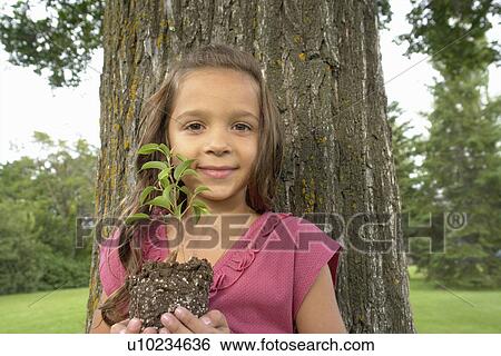 Seven year old girl holding seedling beside tree, Winnipeg, Canada View Large Photo Image Stock Photograph - Seven year old girl holding seedling beside tree, Winnipeg, Canada. Fotosearch
