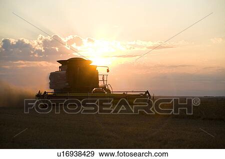 Stock Photo - Silhouette of working combine at sunset, Saskatchewan. Fotosearch