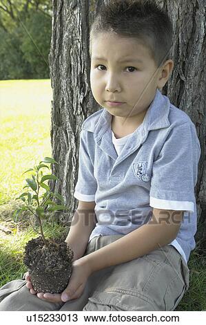 Stock Image - Six year old boy holds small tree, seated beside large tree, Winnipeg, Canada. Fotosearch