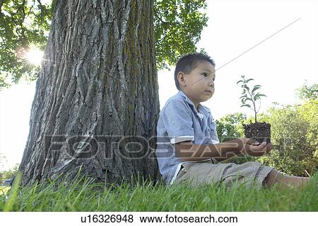 Stock Photo - Six year old boy holds small tree, seated beside large tree, Winnipeg, Canada. Fotosearch