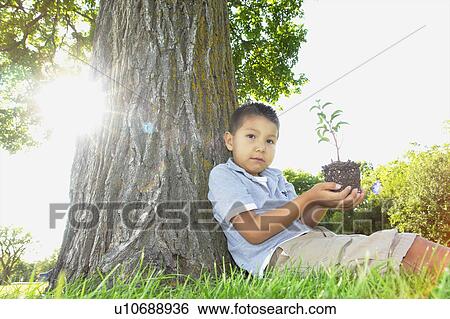 Stock Photograph - Six year old boy holds small tree, seated beside large tree, Winnipeg, Canada. Fotosearch