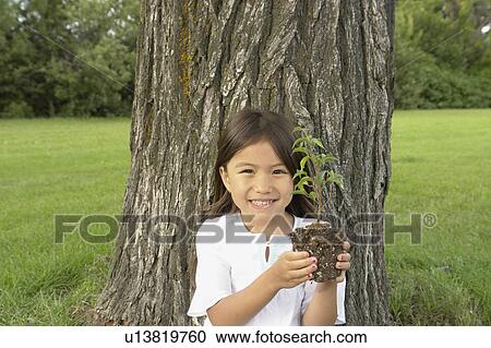 Stock Image - Six year old girl holding small tree, looking upward, Winnipeg, Canada. Fotosearch