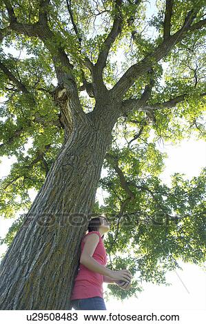 Thirteen year old girl holding small tree stands beside larger tree looking upward, Winnipeg, Canada View Large Photo Image Stock Image - Thirteen year old girl holding small tree stands beside larger tree looking upward, Winnipeg, Canada. Fotosearch