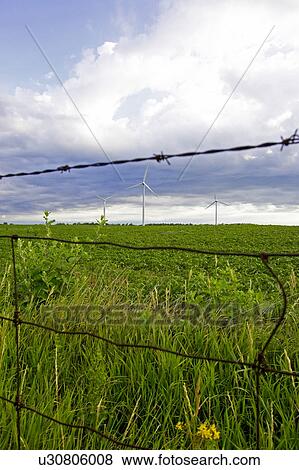 Three wind turbines in field behind wire fence, Tiverton, Bruce Peninsula, Ontario View Large Photo Image Stock Photo - Three wind turbines in field behind wire fence, Tiverton, Bruce Peninsula, Ontario. Fotosearch