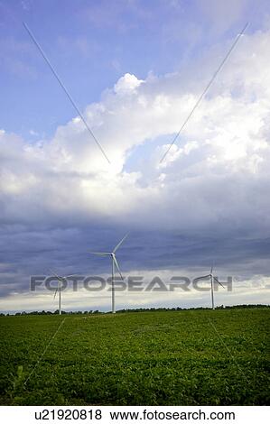 Stock Photo - Three wind turbines in field, Tiverton, Bruce Peninsula, Ontario. Fotosearch