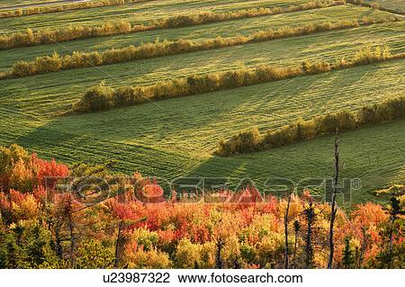 Stock Image - View of fall colours and field at sunrise, Bas-Saint-Laurent region, Saint-Germain-de-Kamouraska, Quebec. Fotosearch