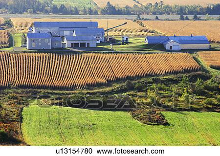 Stock Image - View of farms and fields at sunrise, Bas-Saint-Laurent region, Quebec.. Fotosearch