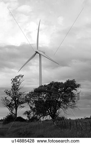 Stock Photo - Wind turbine and trees, Tiverton, Bruce Peninsula, Ontario. Fotosearch