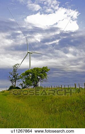 Picture - Wind turbine in country setting, Tiverton, Bruce Peninsula, Ontario. Fotosearch