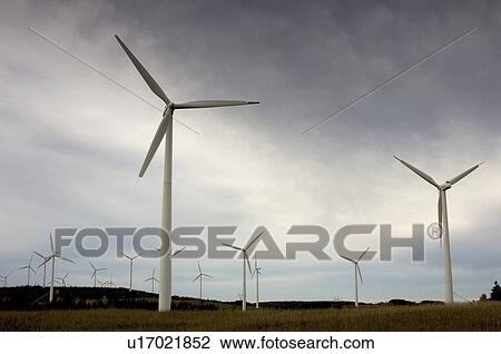 Wind turbines, Cap-Chat, Quebec View Large Photo Image Stock Image - Wind turbines, Cap-Chat, Quebec. Fotosearch