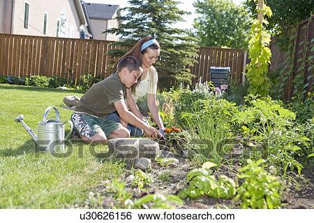 Woman and boy working in backyard garden, Winnipeg, Canada View Large Photo Image Stock Photograph - Woman and boy working in backyard garden, Winnipeg, Canada. Fotosearch