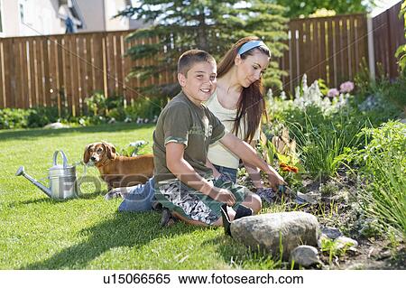 Woman and boy working in backyard garden, Winnipeg, Canada View Large Photo Image Stock Photography - Woman and boy working in backyard garden, Winnipeg, Canada. Fotosearch