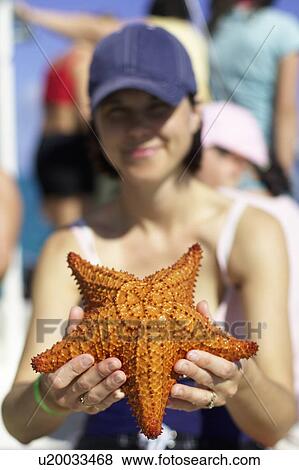 Woman holding starfish, Camagüey, Cuba View Large Photo Image Stock Photo - Woman holding starfish, Camagüey, Cuba. Fotosearch