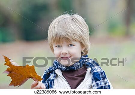Young boy holding brown leaf, Vancouver, British Columbia View Large Photo Image Stock Photograph - Young boy holding brown leaf, Vancouver, British Columbia. Fotosearch