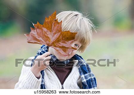 Stock Image - Young boy peeks from behind large brown leaf, Vancouver, British Columbia. Fotosearch