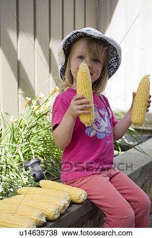 Young girl holding peeled ears of corn, Saskatchewan, Canada View Large Photo Image Stock Photo - Young girl holding peeled ears of corn, Saskatchewan, Canada. Fotosearch